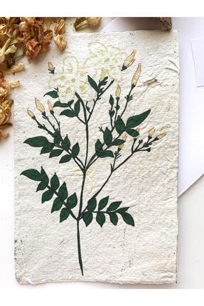kemahli design papatya kokulu