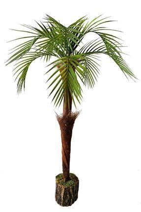 Yapay Ağaç Odun Saksı Da Life Sarılı Palmiye Ağacı Tropikal Areka Ağacı 85 Cm hvark212211