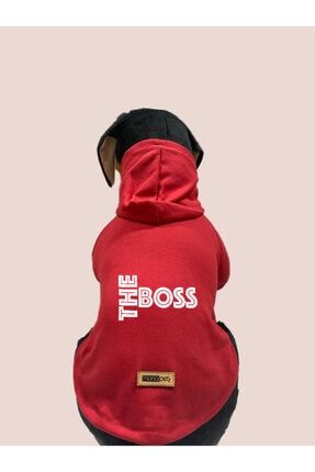 Kapişonlu Sweatshirt Köpek Ve Kedi Kıyafeti - Kırmızı The Boss swboss01