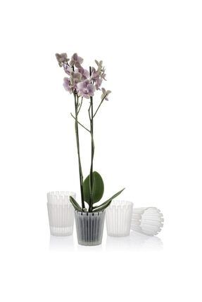 Akasya Orkide Saksısı 1.1 Litre, Şeffaf Orkide Saksı SHAKASYA13