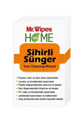 Mr. Wipes Sihirli Sünger 9000052