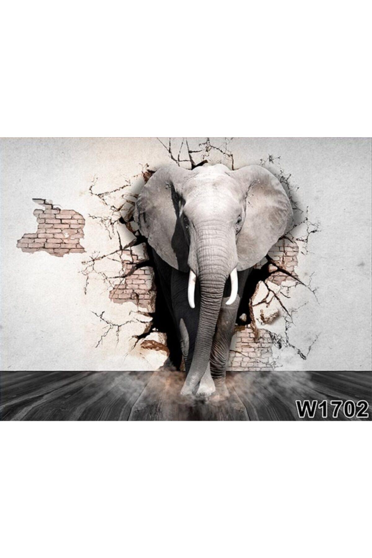 afrika fili duvar kağıtları