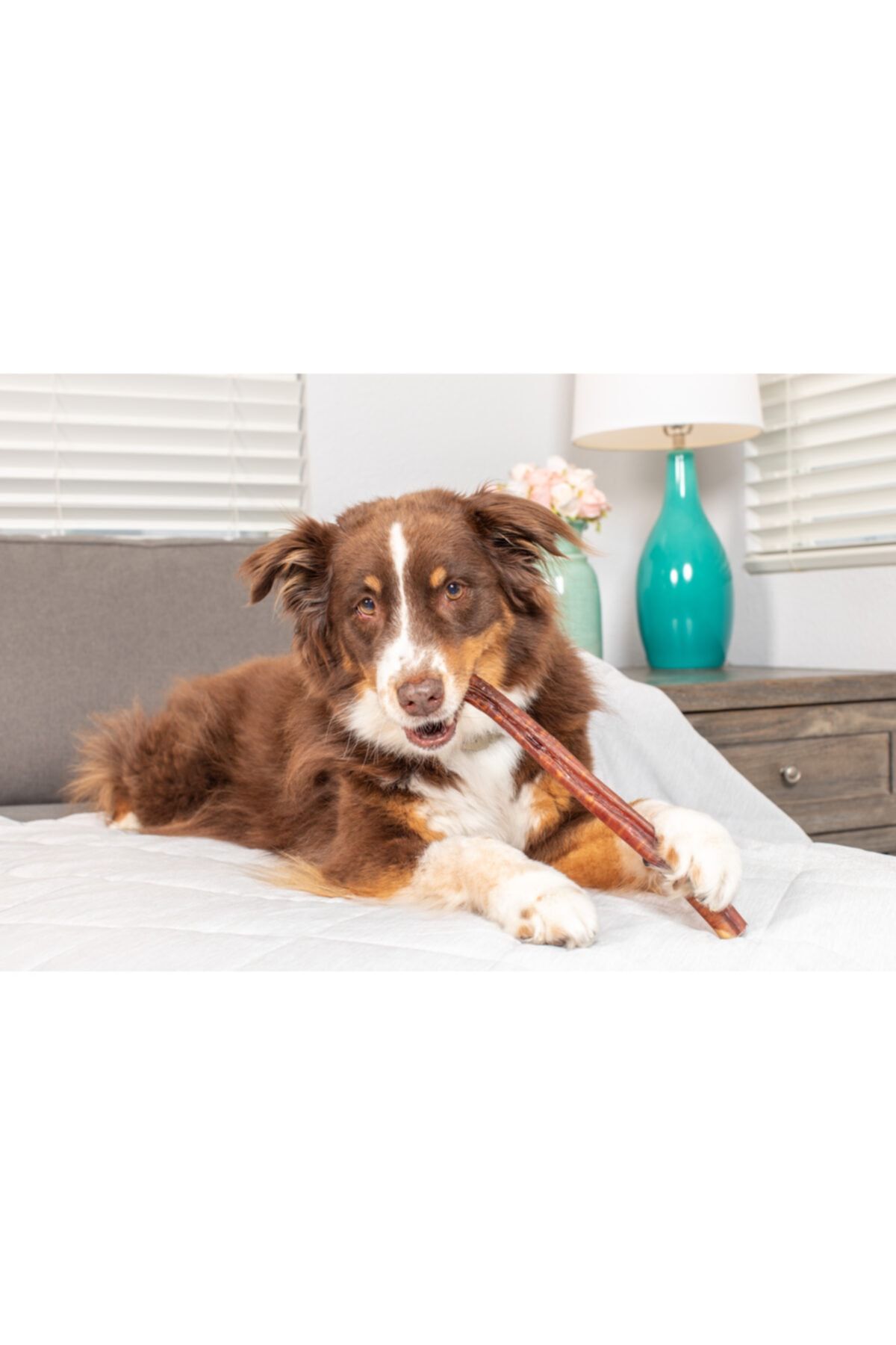 Petstages sale bully chew