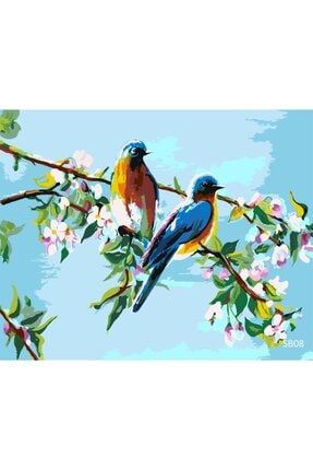 Hobby Çift Kuş Sayılarla Boyama Seti Orta Seviye Yetişkin Boyama Seti TYC00329978390