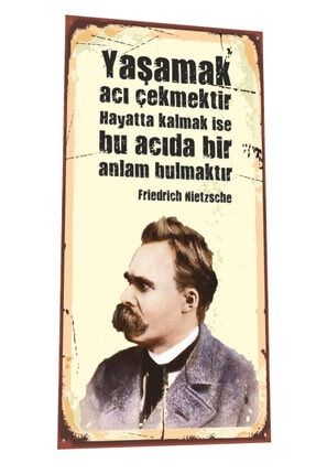 Frederich Nietzsche Mini Retro Ahşap Poster 4983446654966