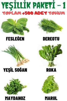 Yeşillik Paketi-1 Fesleğen, Dereotu, Soğan, Roka, Maydanoz, Marul Tohum Seti, Toplam +500 Adet Tohum AP2