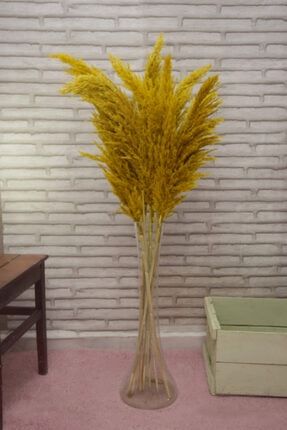 Sarı Pampas 10 Adet 100 cm sarpmps1