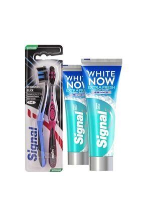 Signal White Now Gold Dis Macunu 75 Ml Performans Black Dis Fircasi 1 1 Trendyol