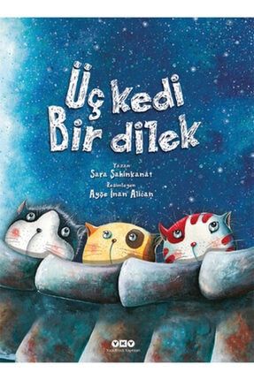 Everest Yayinlari Ah Bir Kedi Olsam Trendyol