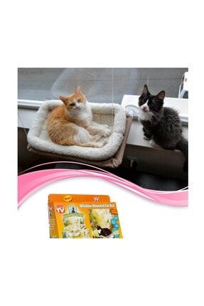 Practika Furminator Kedi Kopek Taragi 4 5 Cm L44 Trendyol
