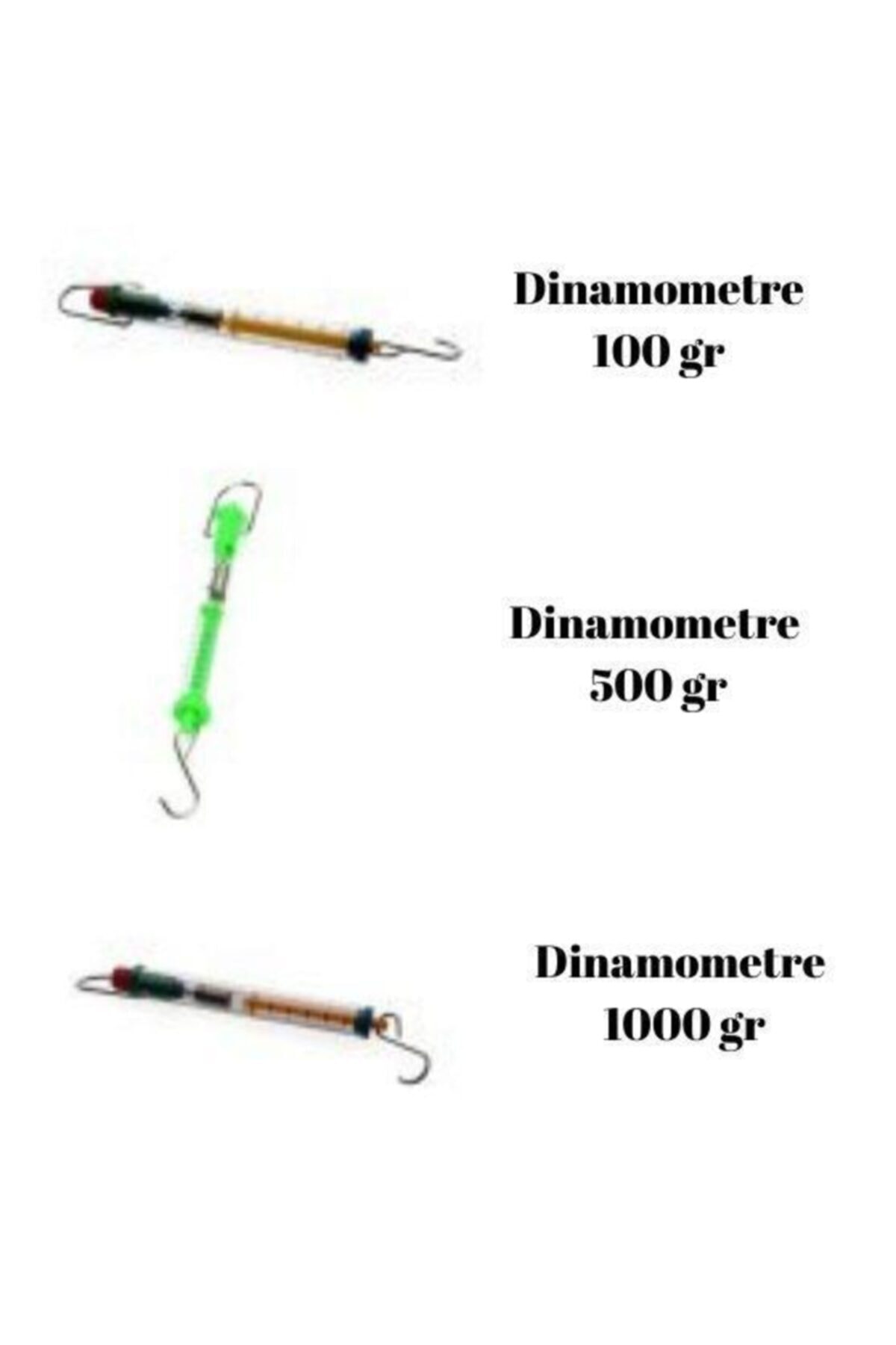 Edulab Dinamometre Seti 100g(1n)/500g(5n)/1000g(10n)