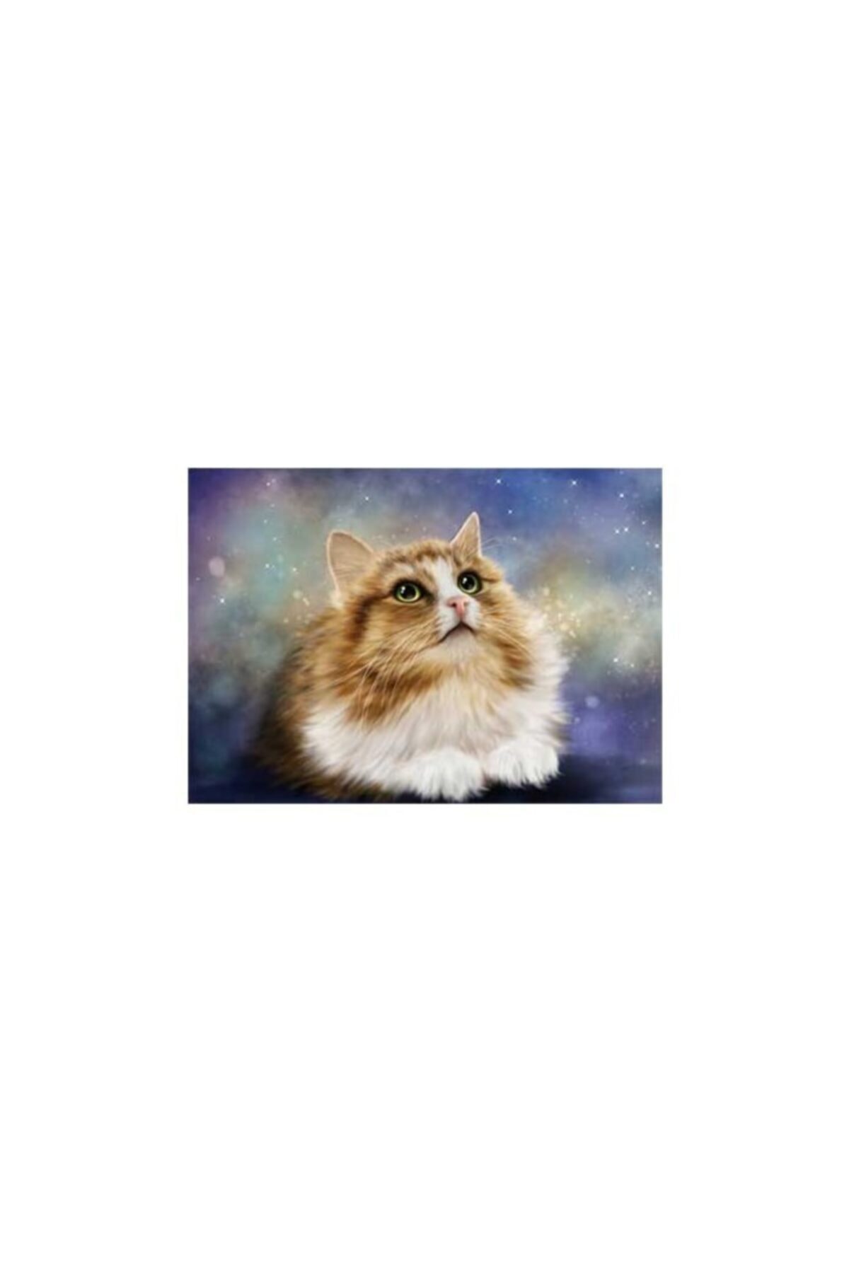 Masum Kedi Notebook Sticker