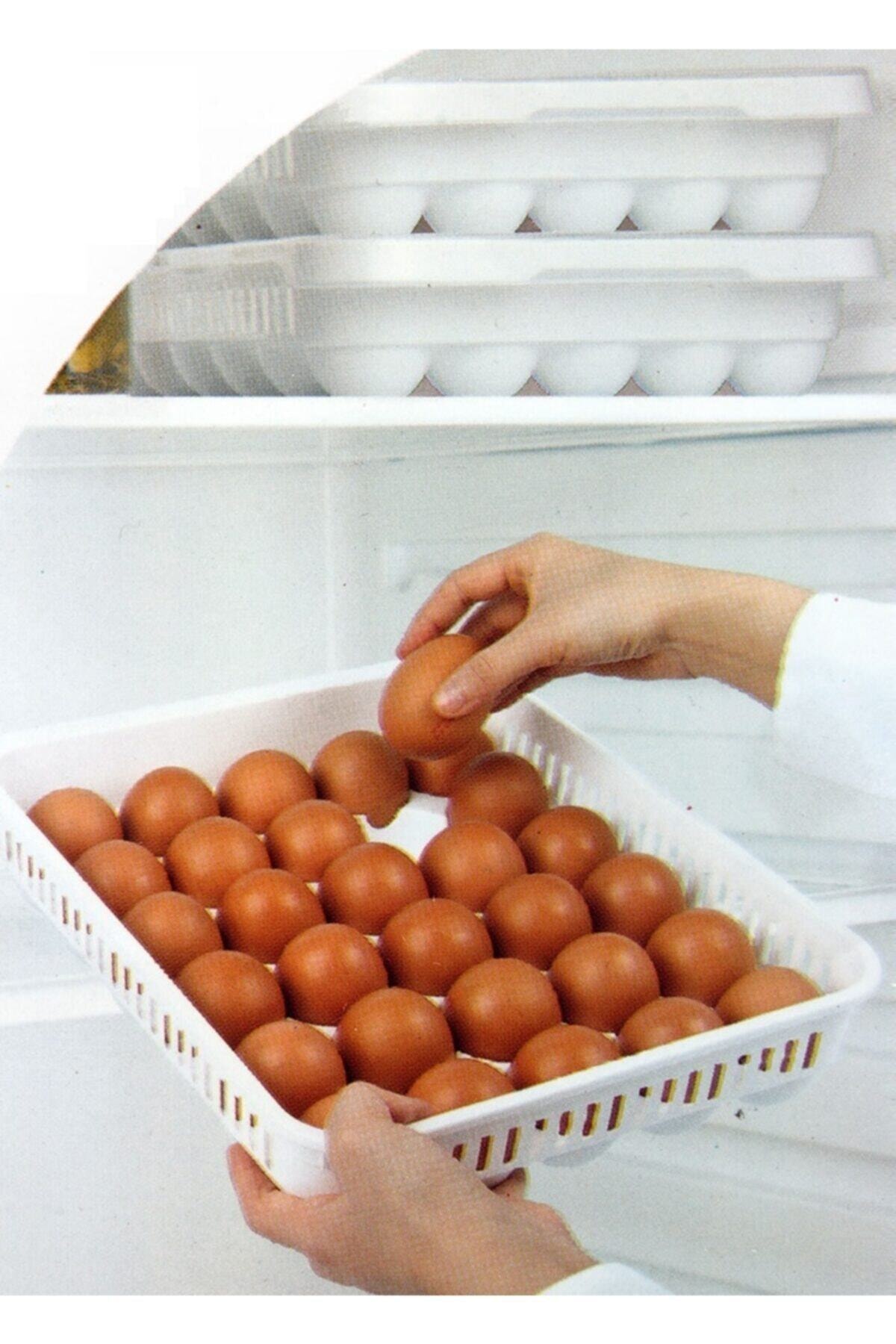 Kapaklı Yumurta Organizeri 30'lu Yumurta Saklama Kabı Steril Yumurtalık — görsel 2 · WRHD10RG12