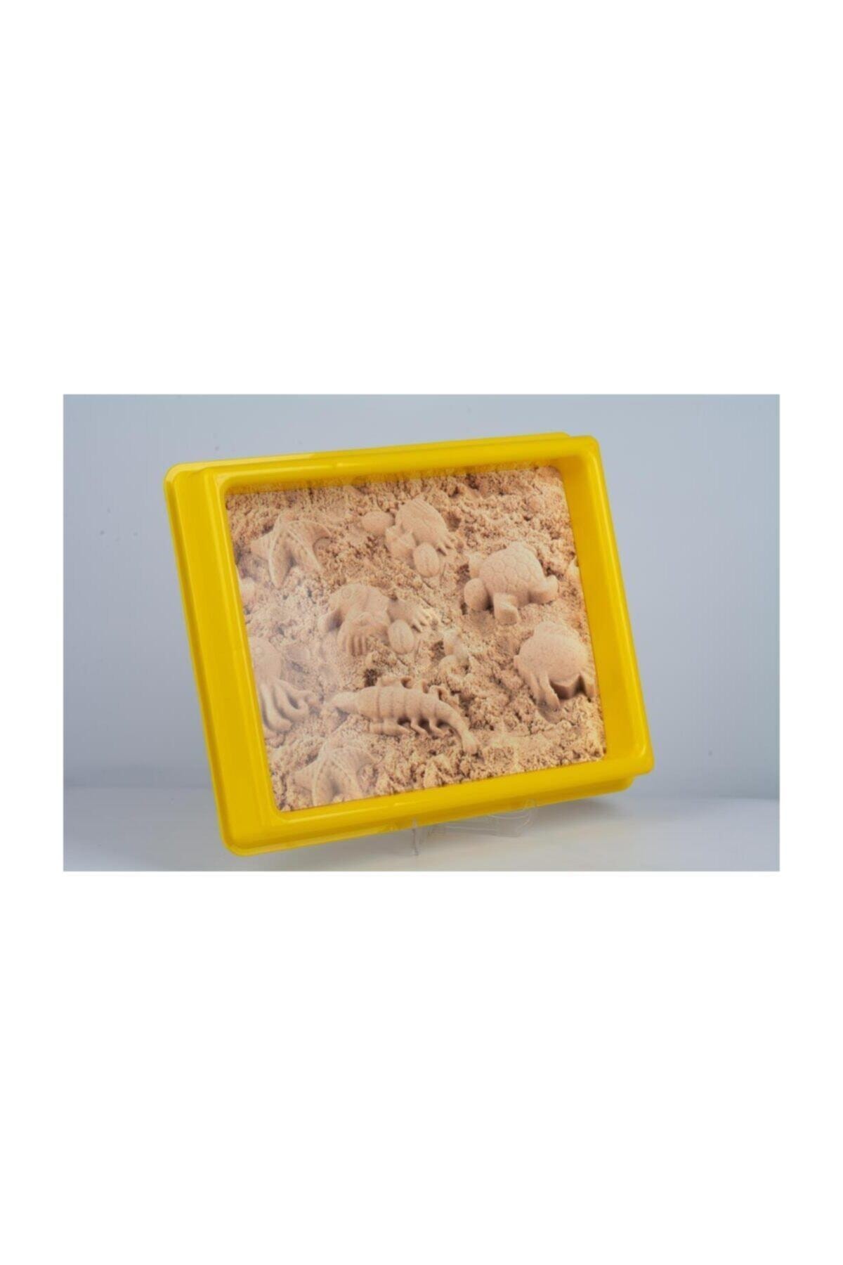 مجموعه شن کینتیک قالبدار حیوانات جنگلی سهبعدی ۱۰۰۰ گرمی Sand-038