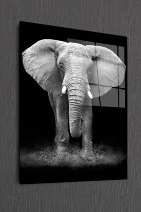 Dekoratif Dikey Cam Tablo Elephant GP-PNT-VR-OR-RA-ANM-00060