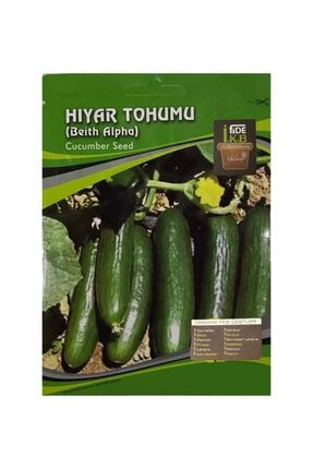 Organik Salata Tohumu Beith Alpha KBTHM20