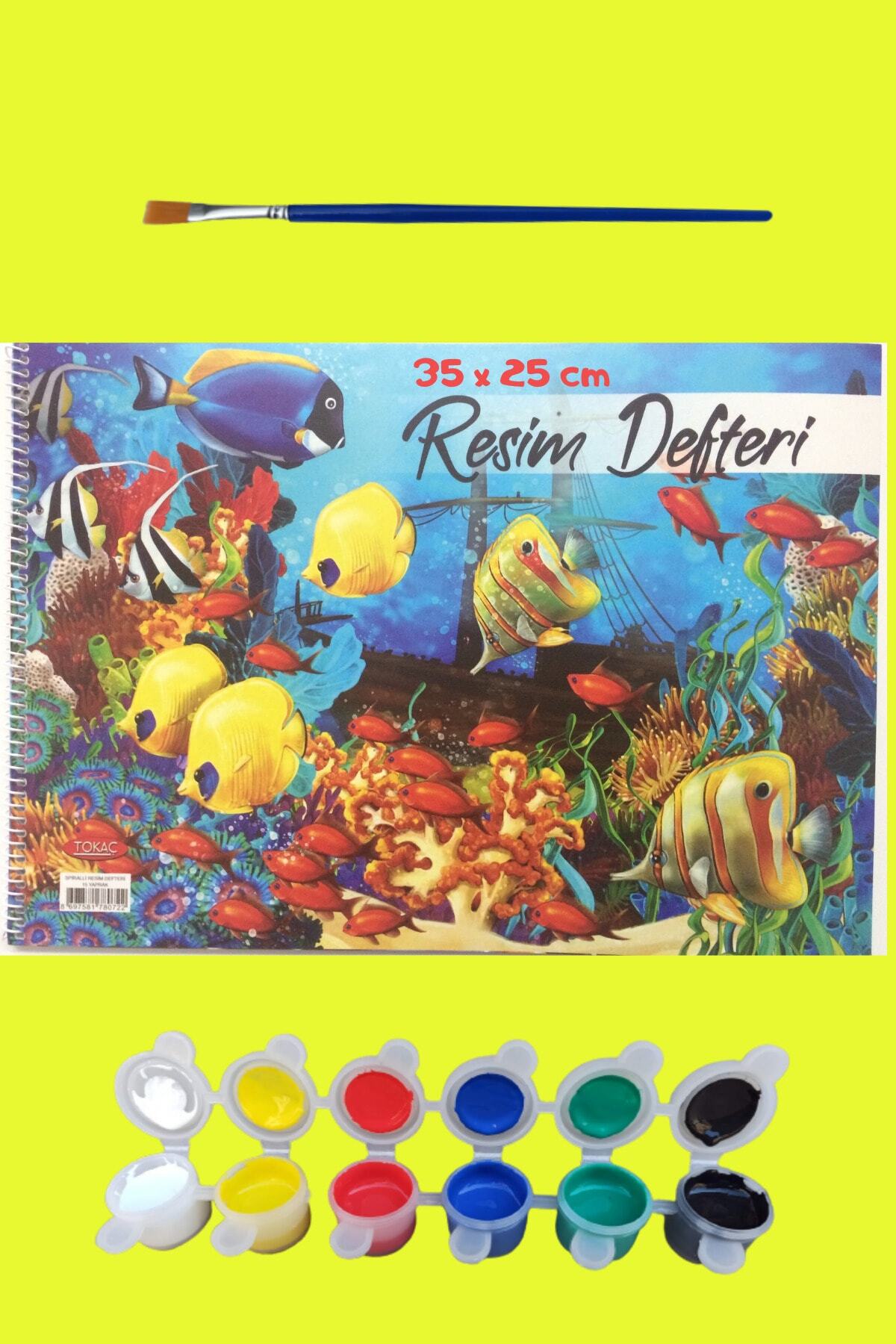 Resim Başlangıç Seti, Resim Seti, 6'lı Akrilik Boya, Fırça