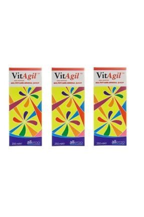 Vitagil Multivitamin Mineral Şurup 250ml-3 Adet TYC00040220043
