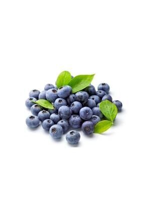 125gr Yaban Mersini Blue Berry myvEG00000043