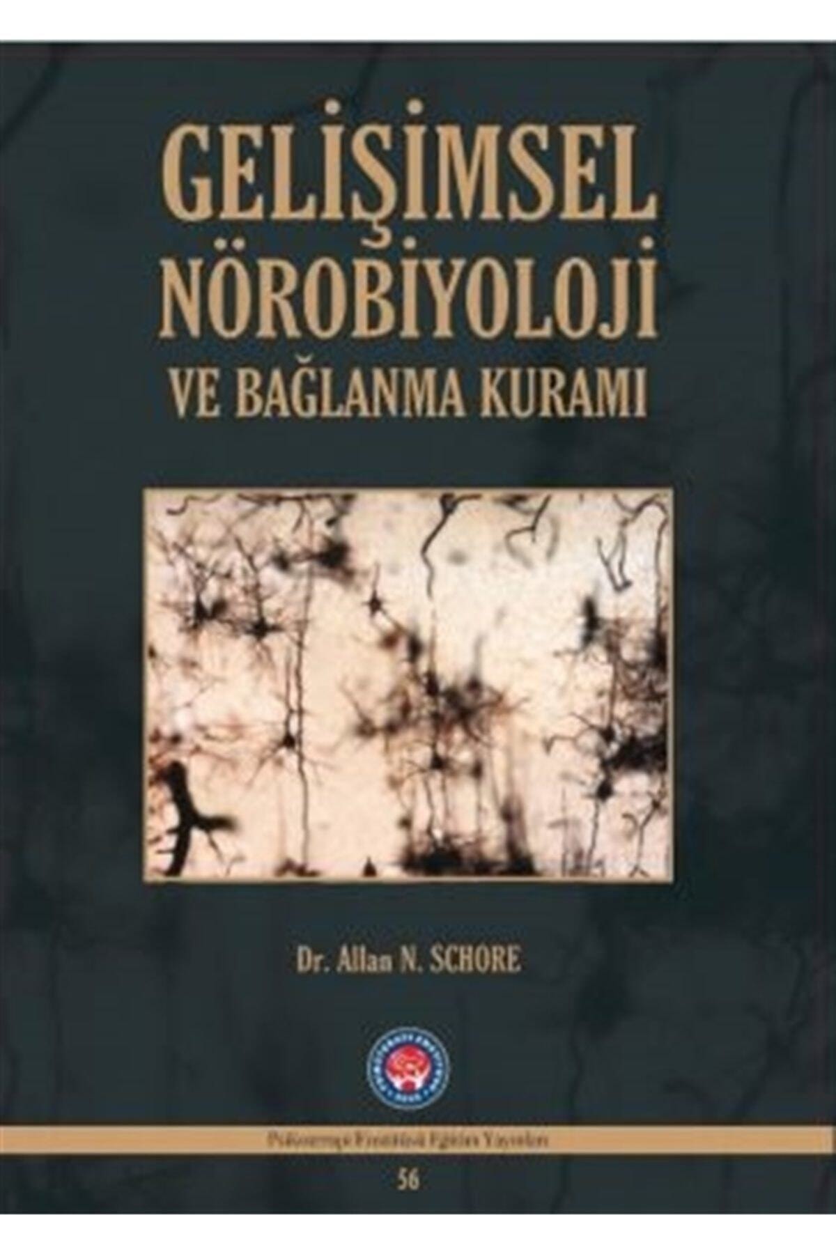 Genel Markalar Gelişimsel Nörobiyoloji ve Bağlanma Kuramı / Psikoterapi Enstitüsü / Allan N. Schore