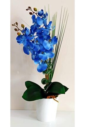 Beyaz Seramik Saksıda Yapay Mavi Orkide Çiçeği Mix60963