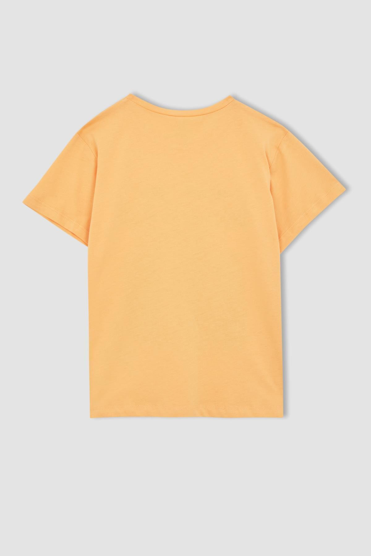 DeFacto T-Shirt Orange Regular Fit OB6528