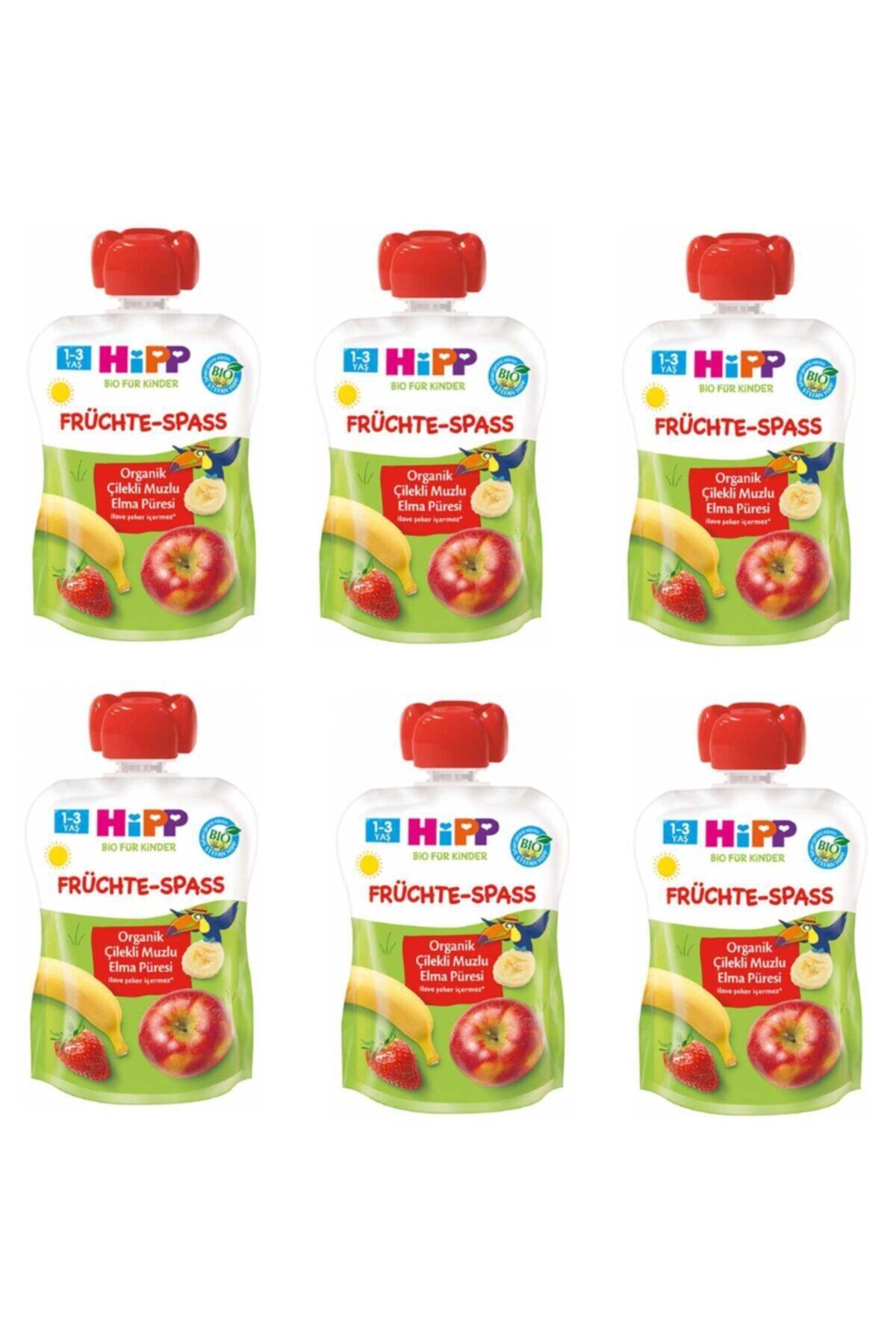 Hipp Organik Çilekli Muzlu Elmalı Meyve Püresi 90 Gr 6 Adet