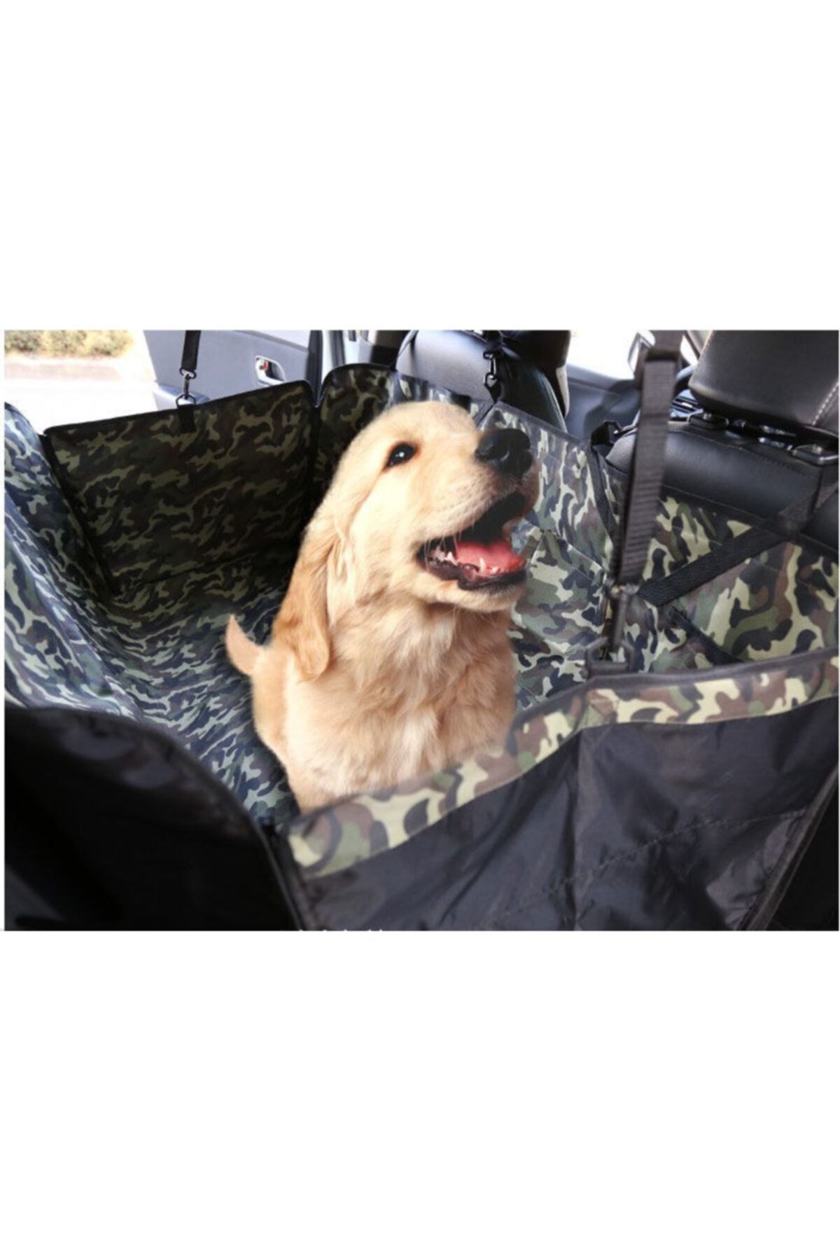 Pet seat carrier sales