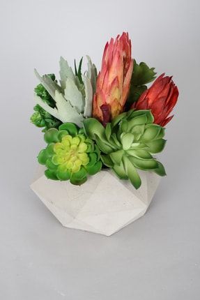 Lüx Yapay Succulent Masa Çiçeği Tanzimi Premium YPCCK-FKYT-1035