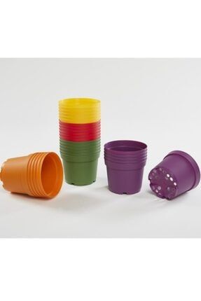 Mor Balon 25 Adet Renkli Plastik Saksı Kaktüs Sukulent Saksısı ( 10.5'lik ) MorBalons0311