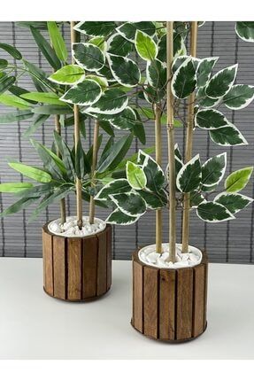 Yapay Bambu Ağacı Ahşap Saksılı 100cm-yapay Benjamin Ağacı Ahşap Saksılı 100cm Yoğun Yapraklı 2 Adet AHŞAP-BAMB100+BENJ100