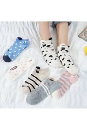 Desenli Kadın Patik Çorap 6'lı asgul0121