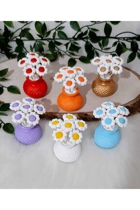 Renkli Mini Vazo Çiçekli 6 'lı Set ÇİÇEK01