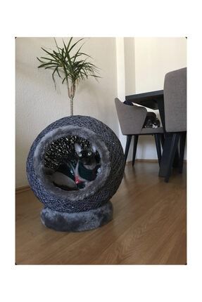 Bykozha Kedi Kopek Kure Yuva Trendyol