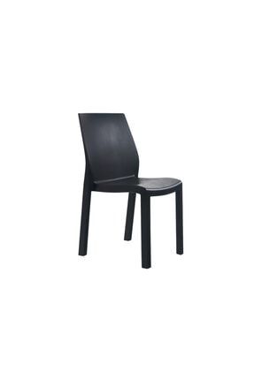 Yummy Sandalye Siyah - Plastik Bahçe Sandalyesi pptyayummy