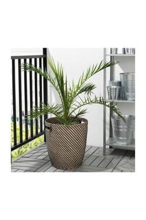 Deneme Zamani Ikea Ragkorn Saksi Naturel Trendyol