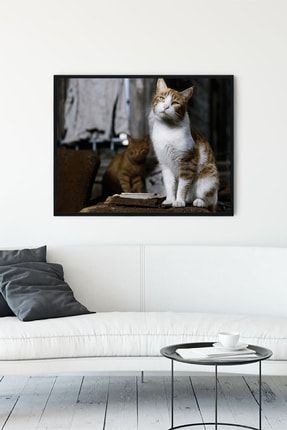 Kedi Hayvan Çerçeveli Tablo 6 (50x70cm) PSTRMNYC10895