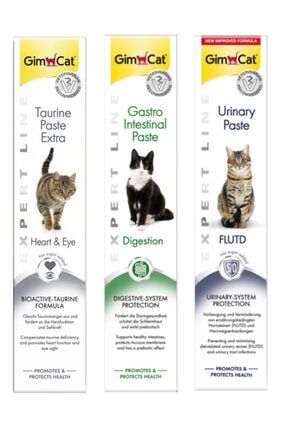 spectrum kitten paste yavru kedi