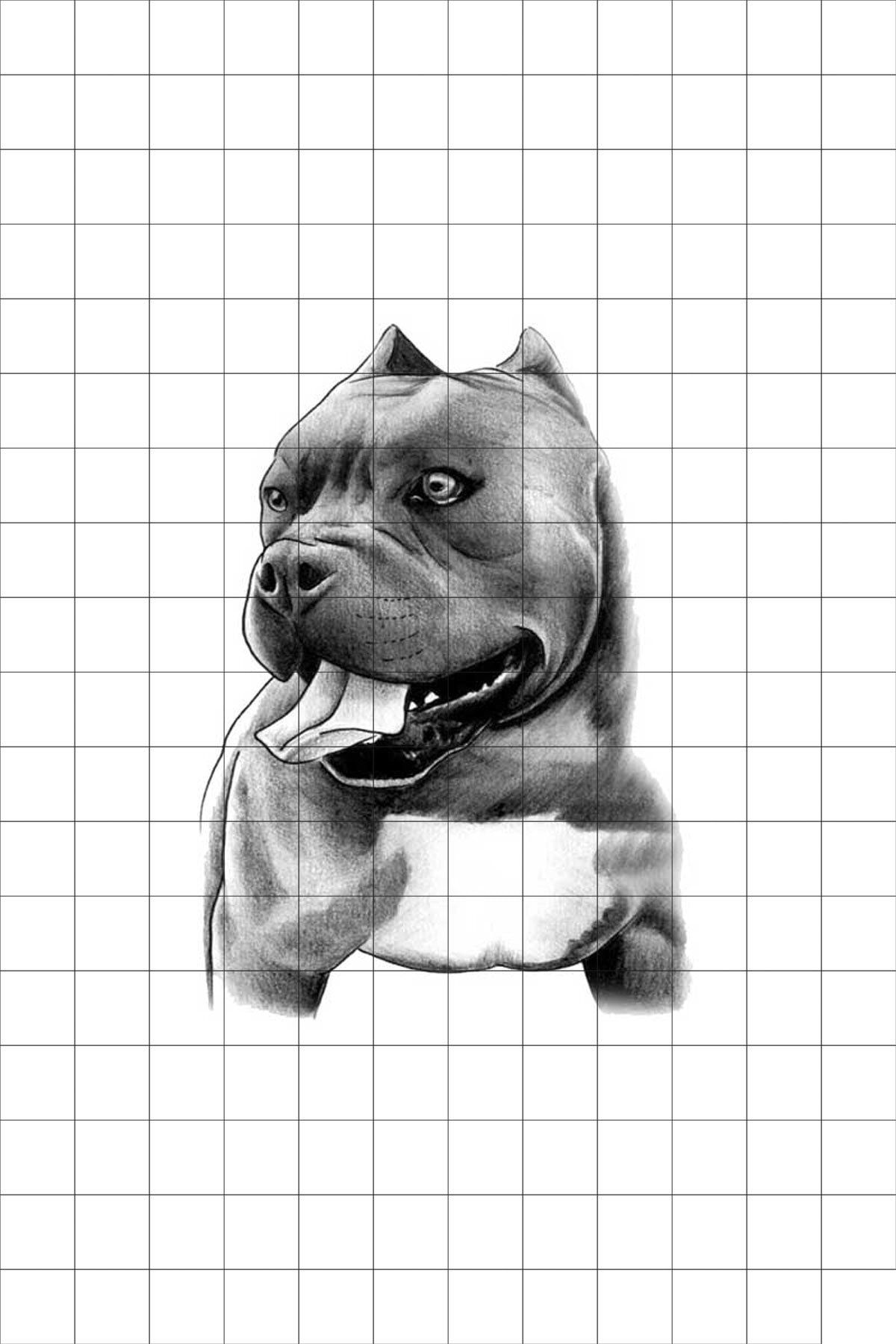Tatfast Pit Bull 51 Gecici Dovme Flash Tattoo Trendyol