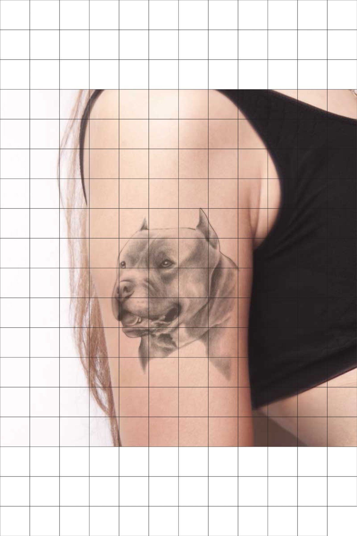 tatfast pit bull 55 gecici dovme flash