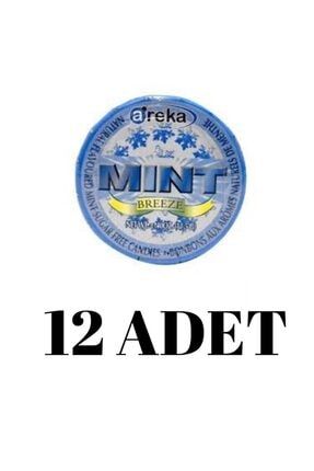 Mint Naneli Şeker 11,5 G X 12 Adet KSMT-PRA-0042x2