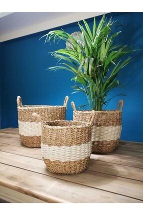 Deneme Zamani Ikea Citronsyra Saksi Beyaz Trendyol