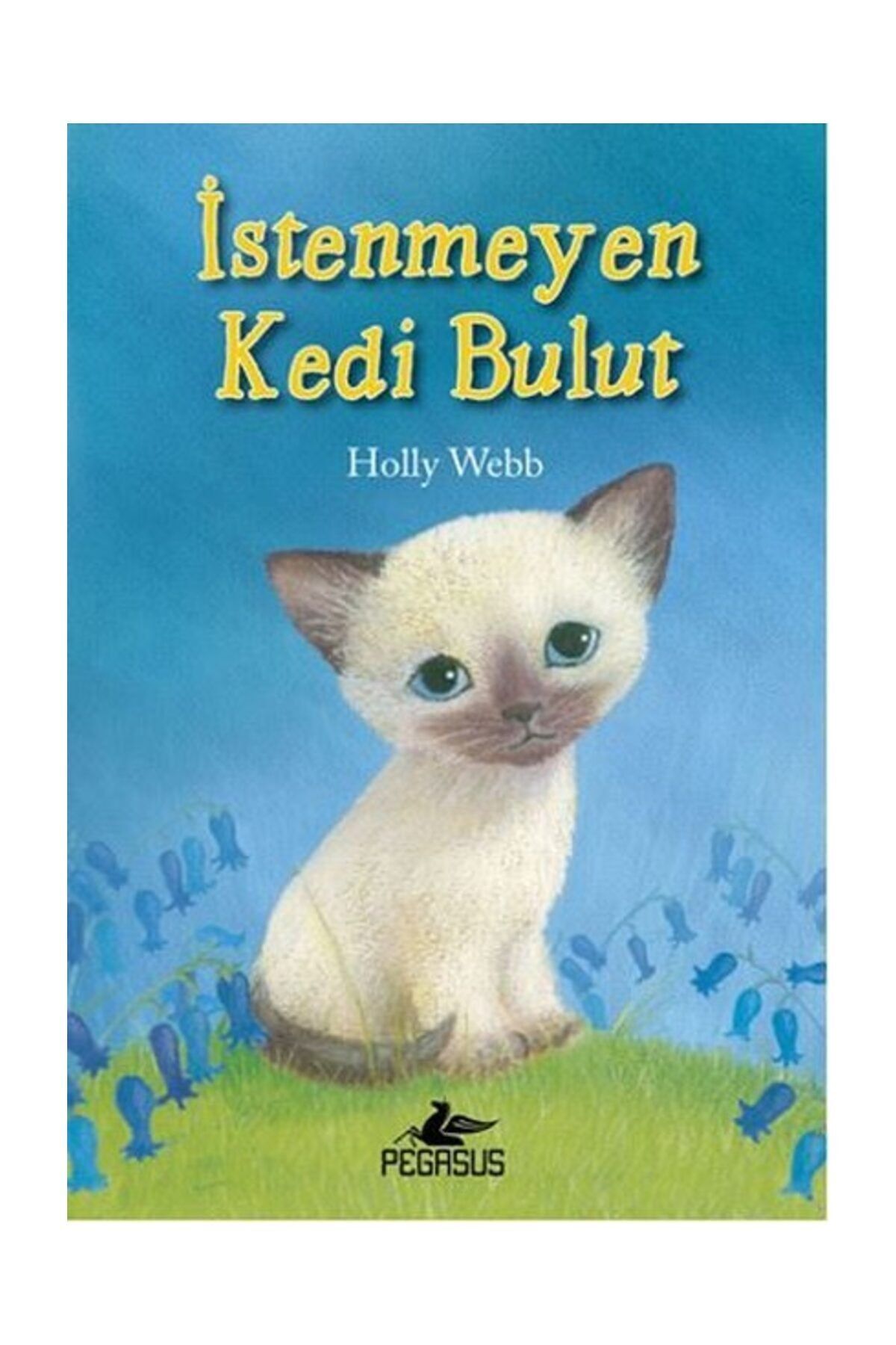 istenmeyen kedi bulut