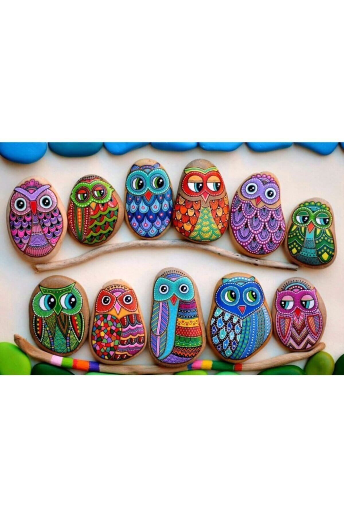 Redka/KumToys-Stone Painting Coding Algorithm and Attention Development Mathematics Chopping Set of 2 4
