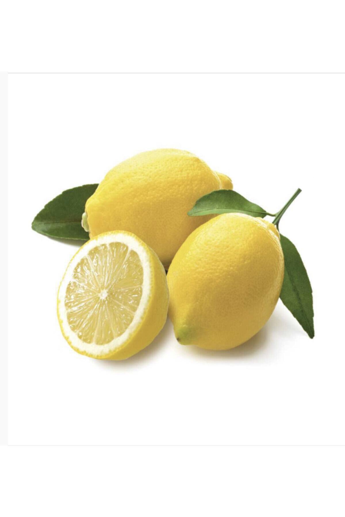 ideal adana mayer limon 1kg fiyati yorumlari trendyol