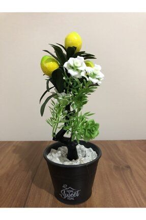 Limon Dekoratif Çiçek 3 Limonlu Ve Saksılı Çiçek 231545468846