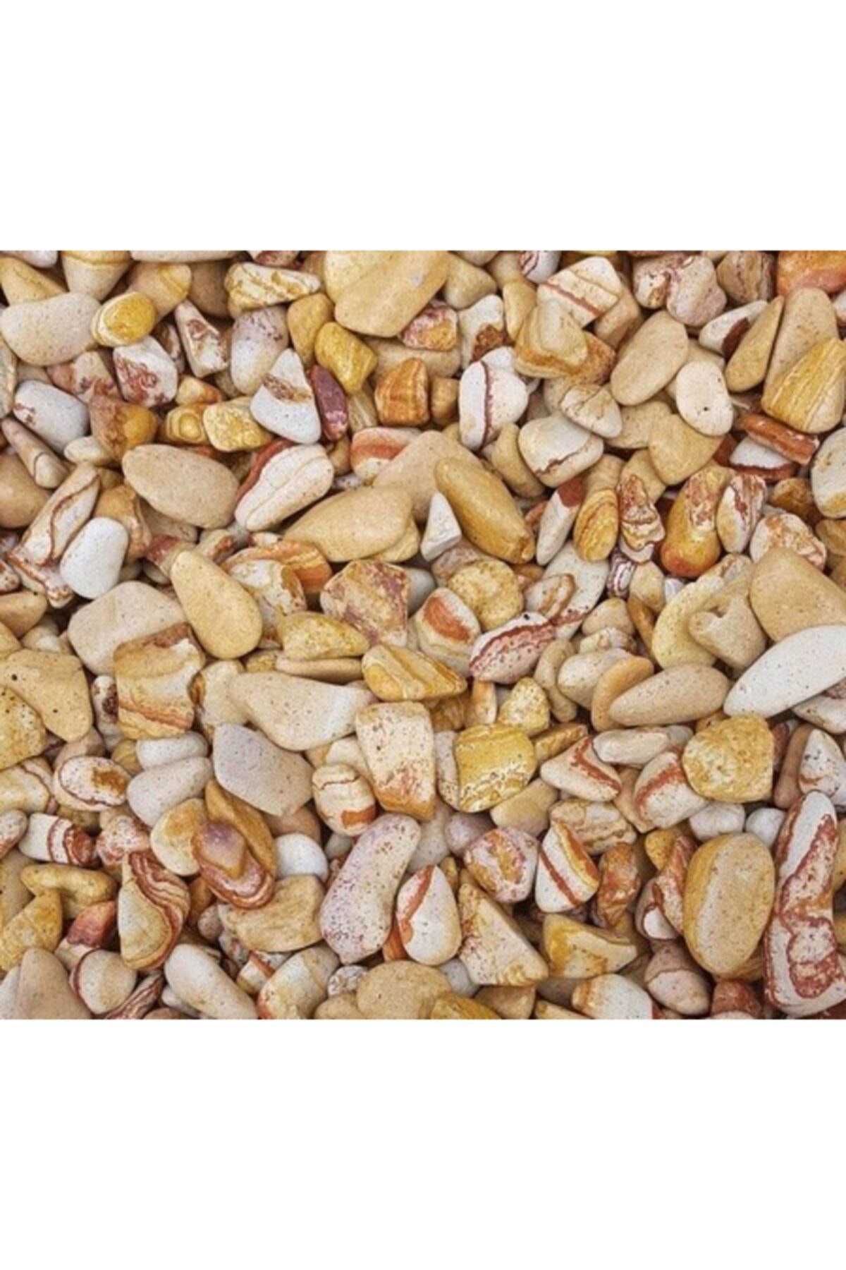 Sarı Çizgili Dolomit 5 Kg 1-2 Cm Sarı Dolomit Taş Dere Taşı Çakıl Taşı Bahçe Taşı Akvaryum Taşı 4