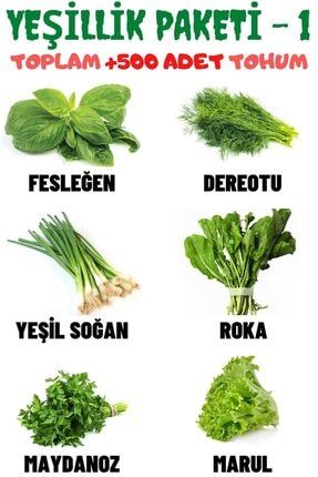 Yeşillik Paketi-1 Fesleğen, Dereotu, Soğan, Roka, Maydanoz, Marul Tohum Seti, Toplam +500 Adet fffyw42