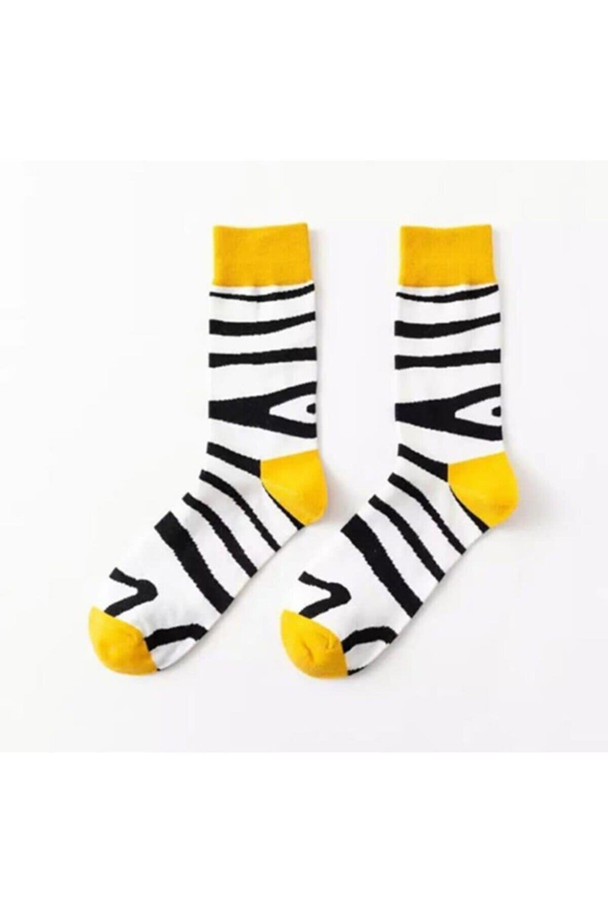 Zebra socks outlet