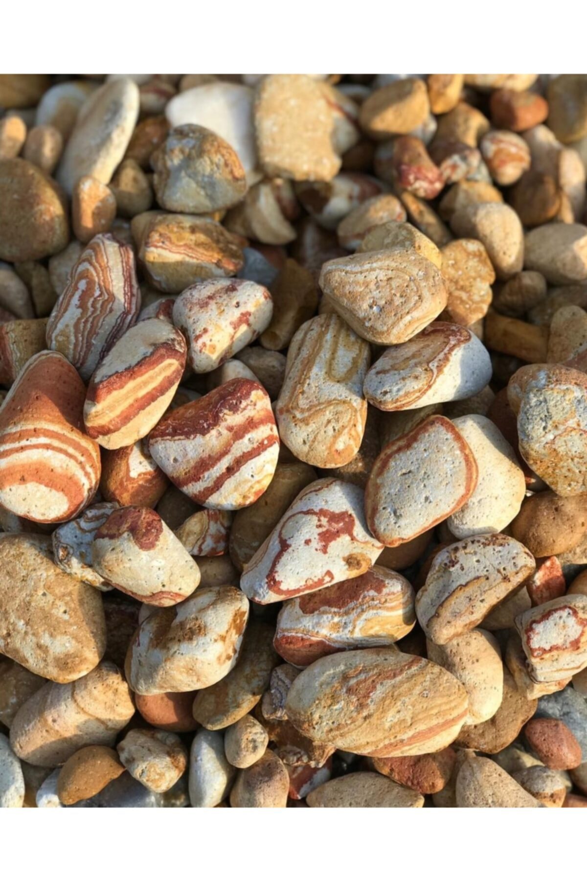 Sarı Çizgili Dolomit 15 Kg 2-4 Cm Sarı Dolomit Taş Dere Taşı Çakıl Taşı Bahçe Taşı Akvaryum Taşı 3